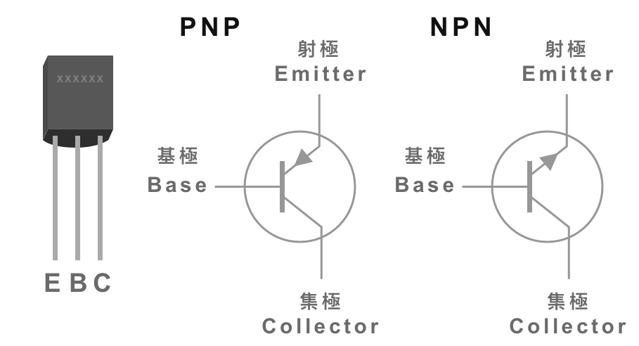 電晶體