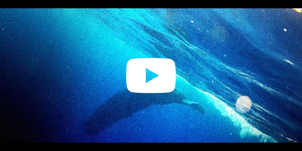 Lorric Brand Jingle Video is Officially Delivered By A Local Taiwanese Photographer
