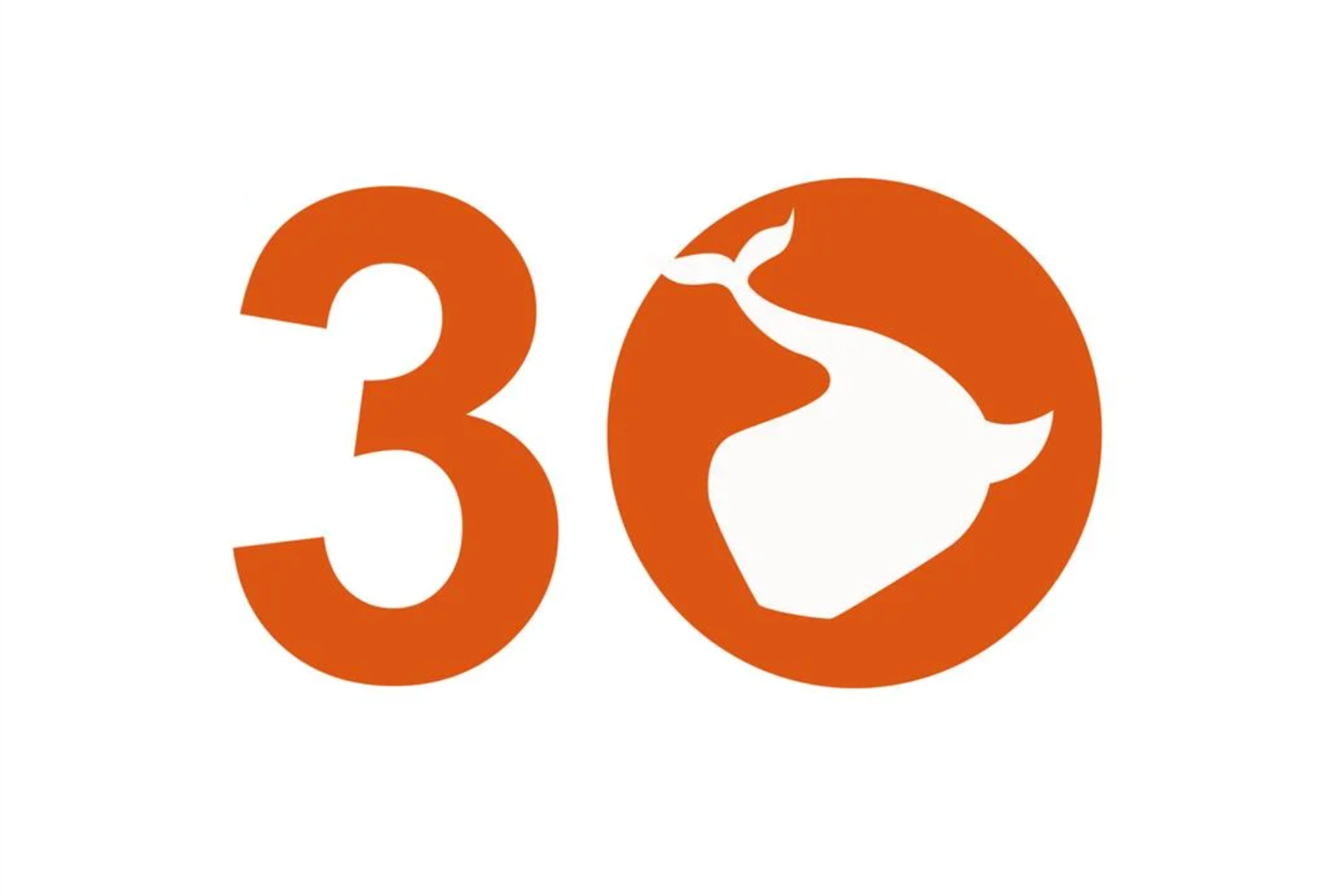 30 Years Experience